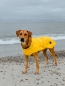 Preview: Hunde Regenmantel Milford gelb - Mit Reißverschluss für Geschirr